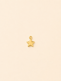 Charm Stella Dorata – Shining Star