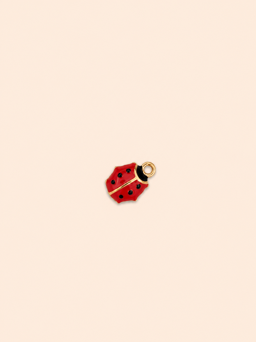Charm Coccinella – Lucky Bug