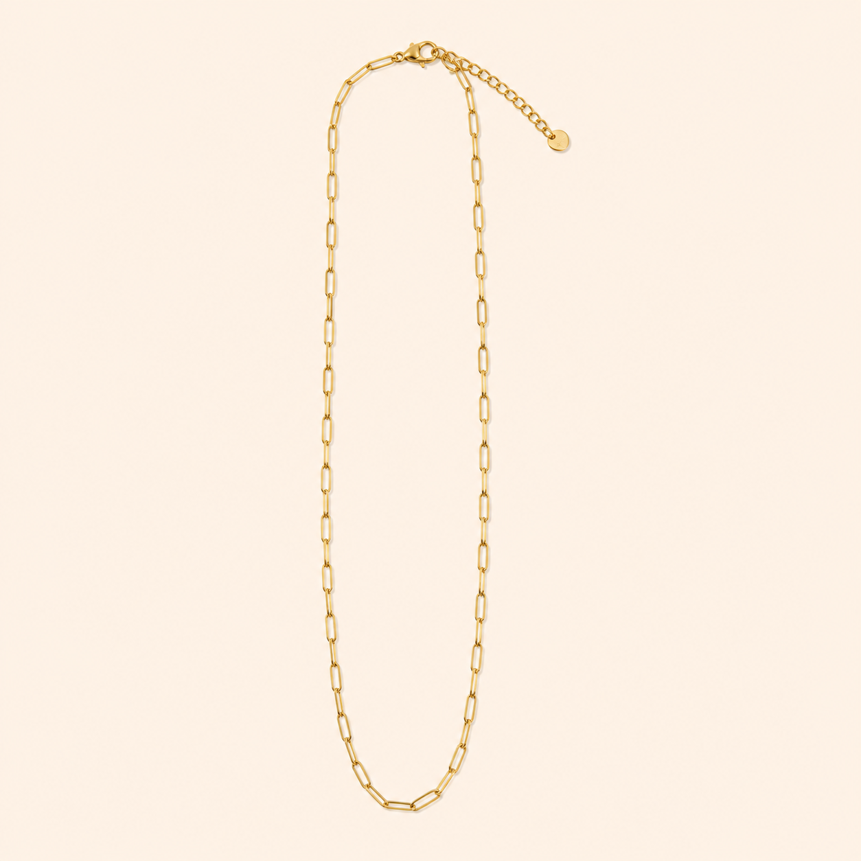 Collana Lunga Catena Paperclip Dorata con Charm Dischetto