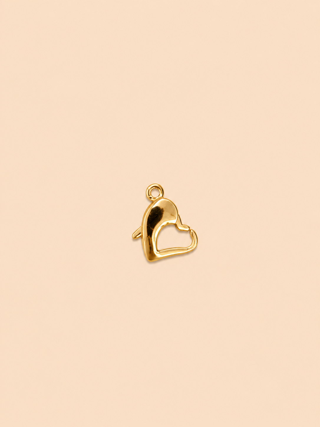 Charm Delfino Cuore – Dolphin Heart