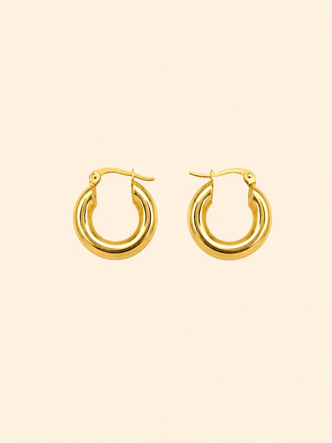 Orecchini Cerchio Tubolare Chunky Lucido in Acciaio Inossidabile – Oro / Argento
